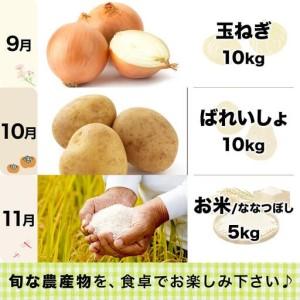 ふるさと納税 ＜先行予約＞いわみざわの新鮮農産物セット(5or6月〜11月 全6回)※定期便【11106】 北海道岩見沢市_3
