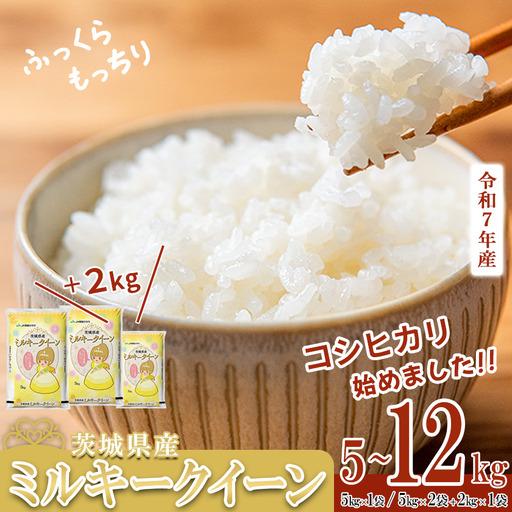 ふるさと納税 米 精米 R7年産 ミルキークイーン 12kg 7月 茨城県下妻市