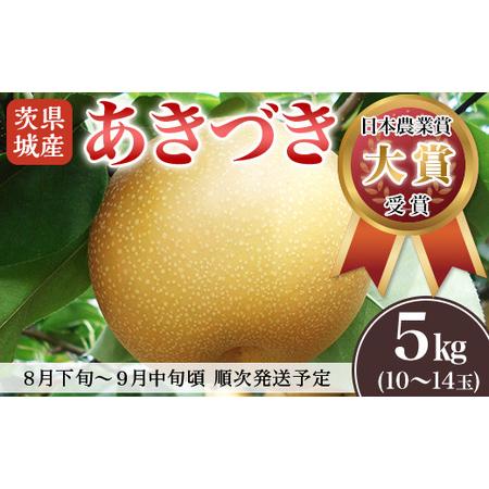 ふるさと納税 [ 2026年先行予約 ]梨 あきづき 5kg(10?14玉) 梨 茨城県下妻市