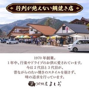 ふるさと納税 広島で行列の出来るたい焼き屋「よしおのたい焼き」(10個入り)【配送不可地域：離島】【1007460】 広島県安芸太田町_1