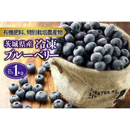 ふるさと納税 [数量限定]冷凍ブルーベリー 1kg [6月下旬から順次発送予定] 9-I 茨城県小美玉市