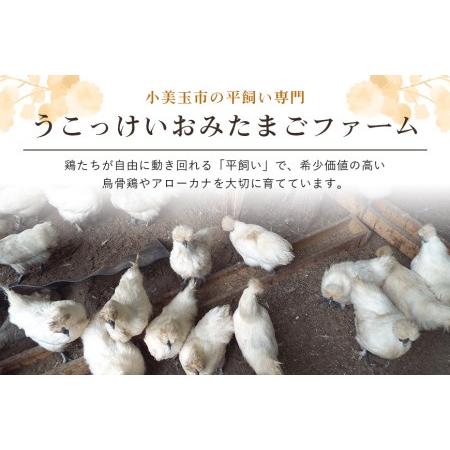 ふるさと納税 平飼い極上のうこっけいの卵24個（20＋補償4個） たまご タマゴ 玉子 烏骨鶏 烏骨鶏の卵 安全 テレビ TV マニアさん 健康 美容 .. 茨城県小美玉市の画像
