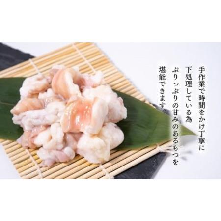 ふるさと納税 もつ鍋 定期便 3回 お試しプラン！ 老舗人気店 博多本格もつ鍋 セット 2〜3人前 (醤油味) ※配送不可：離島  福岡県朝倉市_3