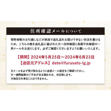 ふるさと納税 《先行予約》【小林果樹園】桃　伊達白桃　5kg（15〜18玉） F20C-593 福島県伊達市 18玉 ZYX1179232202(11700円)