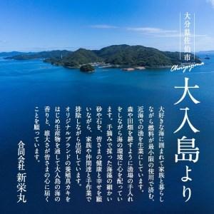 ふるさと納税 真ガキ 大入島オイスター (約2.6kg) 牡蠣 カキ 貝 海鮮 魚介類 冷蔵 生食可 シングルシード 養殖 大分県 佐伯市【ED09】【(合)新栄.. 大分県佐伯市｜furunavi｜02