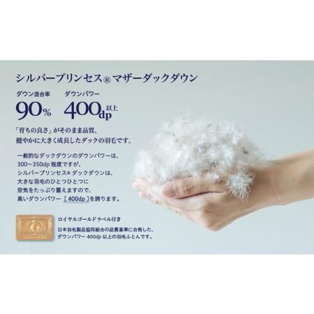 ふるさと納税 【訳あり】羽毛布団 セミダブル マザーダックダウン90% 1.4kg (色柄おまかせ) [JDH088] 長崎県壱岐市