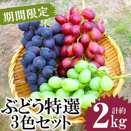 ふるさと納税 No.122 ぶどう特選3色セット(計約2.0kg・約6房) 国産 九州産 鹿児島県産 果物 フルーツ 葡萄 ブドウ 数量限定 ピオーネ シャイン.. 鹿児島県日置市