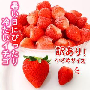 ふるさと納税 No.362 《先行予約受付中！2024年4月以降順次発送予定》＜訳あり・小粒＞ころころサイズの冷凍いちご(計2.5kg超・850g×3袋).. 鹿児島県日置市｜furunavi｜03