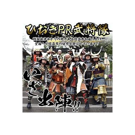 ふるさと納税 No.748-A イメージ創作鎧(島津義久公)！ひおきPR武将隊着用モデル等身大鎧＜B＞大鎧 鎧兜 兜 鎧 かぶと 国産【剣画堂】 鹿児島県日置市の画像