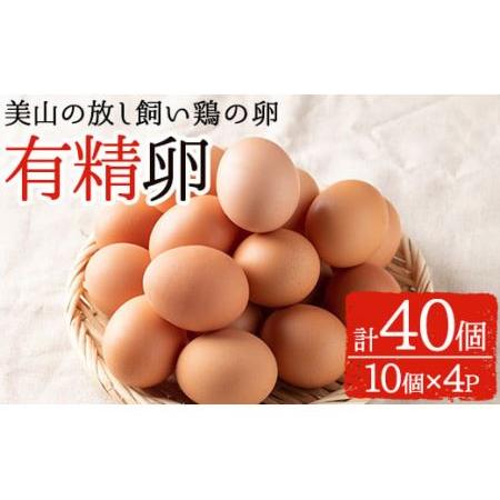 ふるさと納税 No.782 鹿児島県産有精卵(計40個・10個入×4P)放し飼い鶏のたまご![美山たまご王国] 鹿児島県日置市