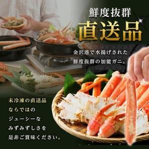 ふるさと納税 【予約受付】金沢港より直送！ボイル加能ガニ(中) ズワイガニ かに 蟹 石川県金沢市_1