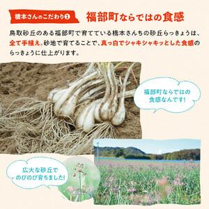 ふるさと納税 橋本さんちの根付き生らっきょう 6kg 鳥取県鳥取市_2