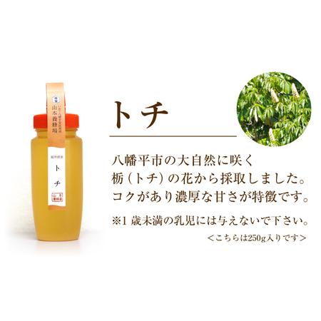 ふるさと納税 純粋はちみつ アカシア 450g \u0026 トチ 500g 【山本養蜂場】 ／ 蜂蜜 ハチミツ 栃 とち アカシヤ 味比べ 濃厚 希少 稀少 純粋 .. 岩手県八幡平市の画像