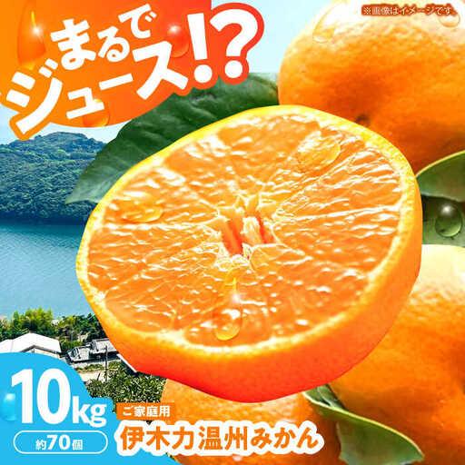 ふるさと納税 みかん10kg AHBD001 伊木力みかん 長崎県諫早市 : ふる