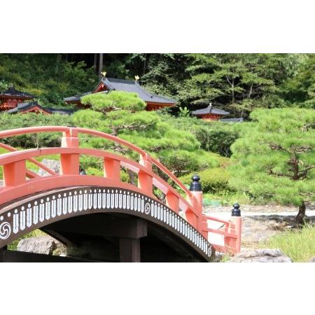 ふるさと納税 「束帯(男性用)」着付体験1名様分 155cm〜180cm／胴囲95cmまで [RE002]  岩手県奥州市_2