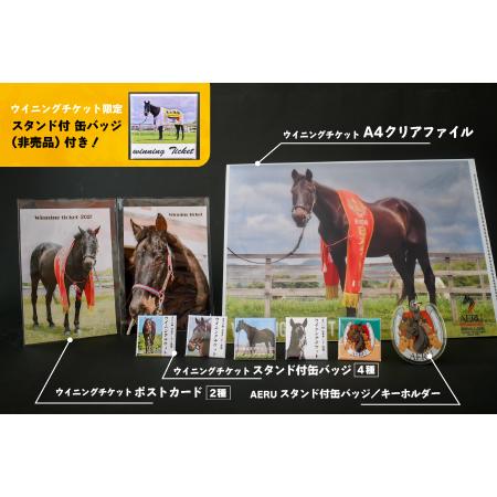 ふるさと納税 優駿ビレッジAERU G1馬オリジナルグッズ(計13個)[07-1168] 北海道浦河町の画像