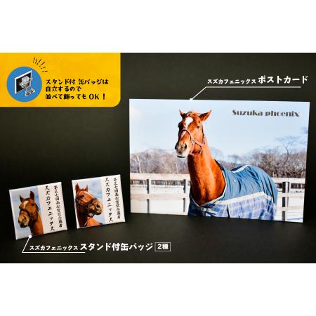 ふるさと納税 優駿ビレッジAERU G1馬オリジナルグッズ(計13個)[07-1168] 北海道浦河町の画像