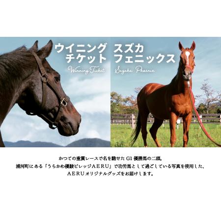 ふるさと納税 優駿ビレッジAERU G1馬オリジナルグッズ(計13個)[07-1168] 北海道浦河町の画像