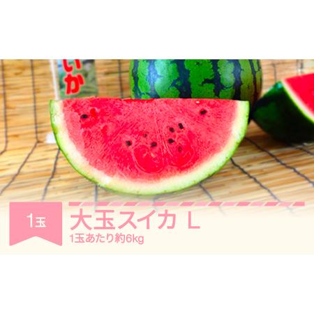 ふるさと納税 先行予約 大玉すいか L×1玉 令和8年産 mk-su1xx1 山形県村山市