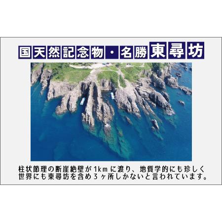 ふるさと納税 「ふくいジオラマ百景 ダイナミック東尋坊」 [A-17801] 福井県坂井市の画像