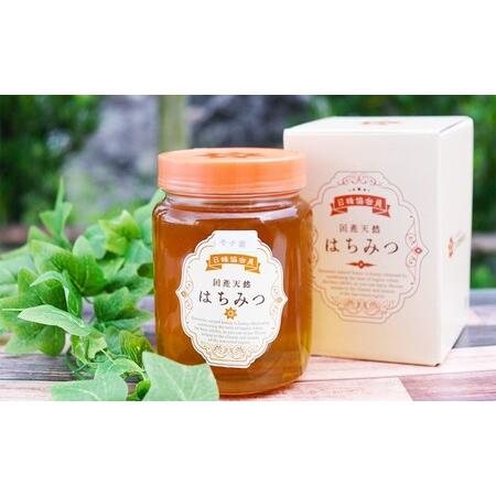 ふるさと納税 はちみつ 2kg (1kg×2) 非加熱 国産 天然 純はちみつ もちの木 蜂蜜 ハチミツ 天然蜂蜜 天然はちみつ 国産はちみつ 国産蜂蜜 .. 福岡県小郡市の画像