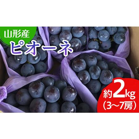 ふるさと納税 山形市産 ぶどう(ピオーネ) 秀 2kg(3?7房)[後半] 【令和8