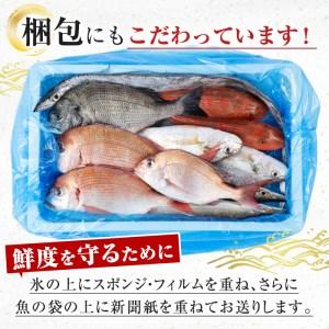 ふるさと納税 i676 ＜定期便・計3回(4か月ごとに発送)＞出水の鮮魚おためしBOX(約2〜3kg程度・3〜6種類) 魚 鮮魚 鹿児島県 出水近海 定期便 お.. 鹿児島県出水市｜furunavi｜03