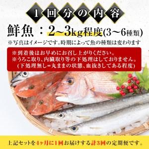 ふるさと納税 i676 ＜定期便・計3回(4か月ごとに発送)＞出水の鮮魚おためしBOX(約2〜3kg程度・3〜6種類) 魚 鮮魚 鹿児島県 出水近海 定期便 お.. 鹿児島県出水市｜furunavi｜04