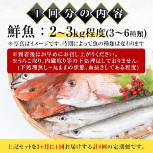 ふるさと納税 i677 ＜定期便・計4回(3か月ごとに発送)＞出水の鮮魚おためしBOX(約2〜3kg程度・3〜6種類) 魚 鮮魚 鹿児島県 出水近海 定期便 お.. 鹿児島県出水市｜furunavi｜04