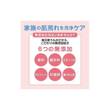 ふるさと納税 肌荒れを防ぐ薬用無添加　泡ボディソープセット ※着日指定不可◇ 奈良県橿原市_2