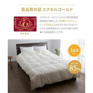 ふるさと納税 香川県高松市で製造　羽毛合掛け布団ＱＬ　ダウン85％　クイーンロング　210ｘ210サイズ 香川県高松市_1
