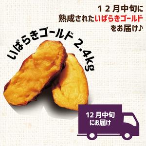 ふるさと納税 【早割Aプラン】2026年度おいも株オーナー制度 1口｜さつまいも 芋 サツマイモ お芋 おいも株 株 オーナー いばらきゴールド らぽ.. 茨城県行方市の画像