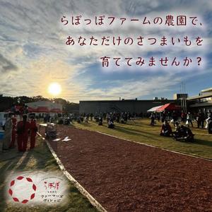 ふるさと納税 【早割Aプラン】2026年度おいも株オーナー制度 1口｜さつまいも 芋 サツマイモ お芋 おいも株 株 オーナー いばらきゴールド らぽ.. 茨城県行方市の画像