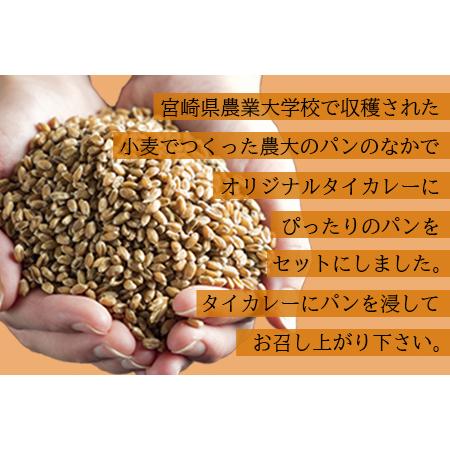 全部半額 ふるさと納税 ＜高鍋生まれの「タイカレー」とカレーによくあう「農大パン」のセット　タイカレー3個・農大パン8個＞翌月末迄に順次出荷【c419_s.. 宮崎県高鍋町