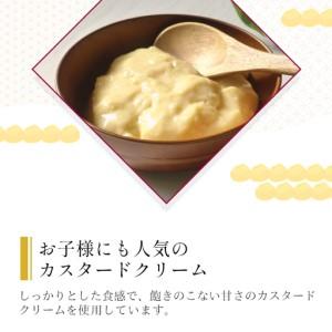 ふるさと納税 外はサクサク、中はもっちり！たい焼き カスタード 18枚セット 個包装 和菓子 プリン たいやき スイーツ 長野県根羽村_1