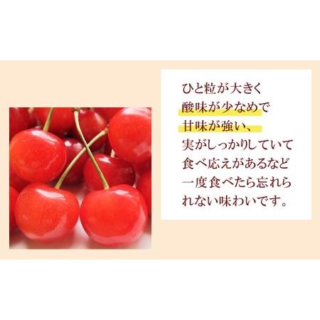 ふるさと納税 【令和6年産先行予約】 さくらんぼ 紅秀峰 (L又は2Lサイズ) 1kg バラ詰め 山形県鶴岡市産　株式会社 元青果 山形県鶴岡市｜furunavi｜03