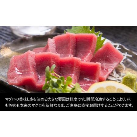 ふるさと納税 本マグロ まぐろお刺身用 赤身5人前(800g) 鮪 海鮮丼 刺し身 刺身 盛り合わせ 冷凍 魚の刺身 大分県産 九州産 津久見市 国産【ts.. 大分県津久見市｜furunavi｜04