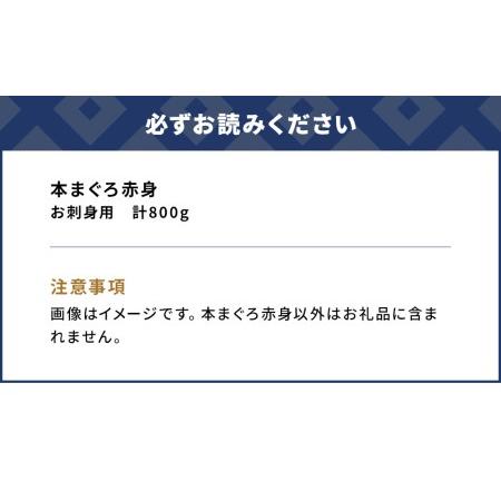 ふるさと納税 本マグロ まぐろお刺身用 赤身5人前(800g) 鮪 海鮮丼 刺し身 刺身 盛り合わせ 冷凍 魚の刺身 大分県産 九州産 津久見市 国産【ts.. 大分県津久見市｜furunavi｜05