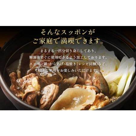 ふるさと納税 すっぽん スッポン 約700g すっぽん鍋 簡単調理 熊本県宇城市の画像