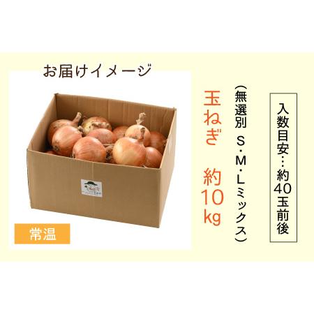 ふるさと納税 【先行予約】玉ねぎ 10kg（サイズ S M L ミックス）田んぼで育てた甘くて柔らか自慢の玉ねぎ！／ 野菜 玉葱 たまねぎ 甘い ※202.. 福井県あわら市｜furunavi｜05