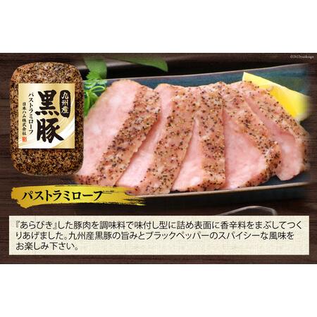 ふるさと納税 日本ハム 九州産 黒豚 5種 ハム 焼豚 ウインナー (TKB-510) [日本ハムマーケティング 宮崎県 日向市 452060956] 豚肉 焼き豚 あら.. 宮崎県日向市