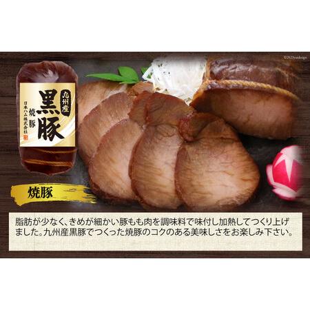 ふるさと納税 日本ハム 九州産 黒豚 5種 ハム 焼豚 ウインナー (TKB-510) [日本ハムマーケティング 宮崎県 日向市 452060956] 豚肉 焼き豚 あら.. 宮崎県日向市