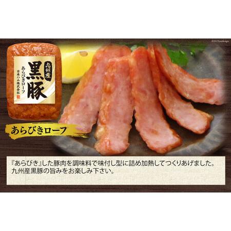 ふるさと納税 日本ハム 九州産 黒豚 5種 ハム 焼豚 ウインナー (TKB-510) [日本ハムマーケティング 宮崎県 日向市 452060956] 豚肉 焼き豚 あら.. 宮崎県日向市