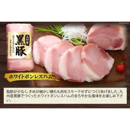 ふるさと納税 日本ハム 九州産 黒豚 5種 ハム 焼豚 ウインナー (TKB-510) [日本ハムマーケティング 宮崎県 日向市 452060956] 豚肉 焼き豚 あら.. 宮崎県日向市