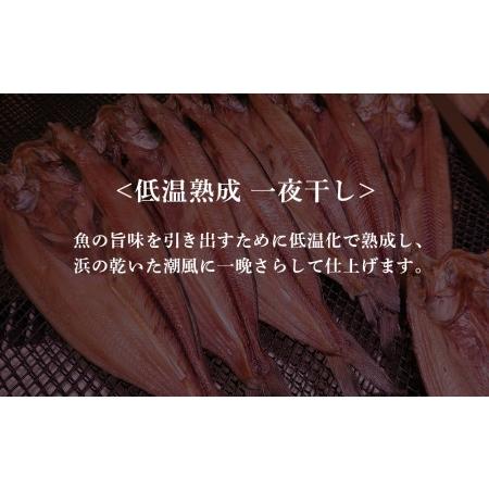 ふるさと納税 低温熟成 一夜干し お楽しみ 詰め合わせ AA027 北海道白老町_1