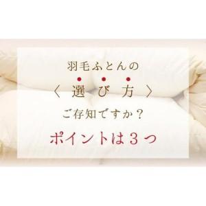 ふるさと納税 羽毛布団【シングル】イングランド産ホワイトダウン93％1.3kg2層キルトDP400 【S-21】 山梨県大月市_1