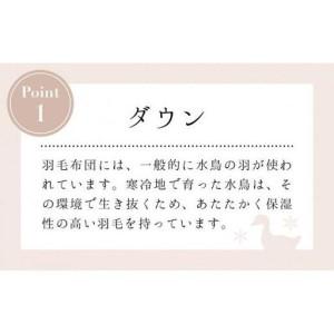 ふるさと納税 羽毛布団【シングル】イングランド産ホワイトダウン93％1.3kg2層キルトDP400 【S-21】 山梨県大月市_2