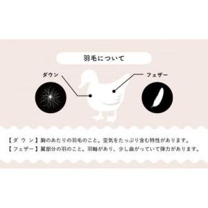 ふるさと納税 羽毛布団【シングル】イングランド産ホワイトダウン93％1.3kg2層キルトDP400 【S-21】 山梨県大月市_4