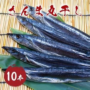 ふるさと納税 干物 さんま丸干し 10本 さんま干物[mtys0010] 三重県熊野市