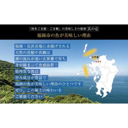 ふるさと納税 博多名物 ごま鯖 800g (100g×8個) セット 詰め合わせ 長浜市場水揚げ 天然真鯖使用 大容量 小分け 天然 真鯖 長浜市場 水揚げ.. 福岡県福岡市の画像